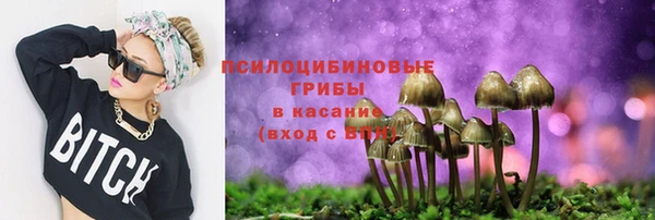 твердый Алзамай