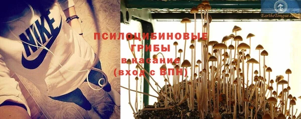 твердый Алзамай