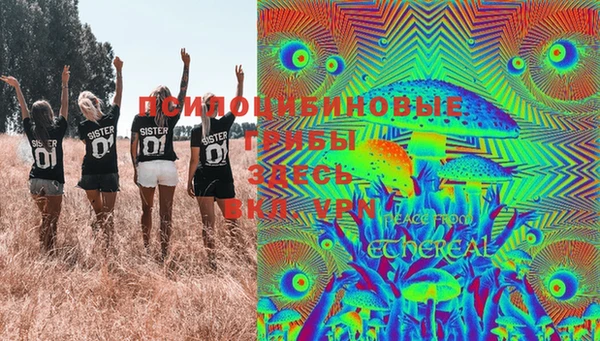 твердый Алзамай
