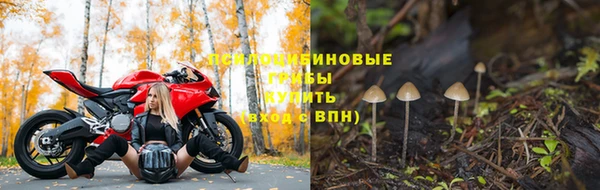 МДПВ Алексеевка