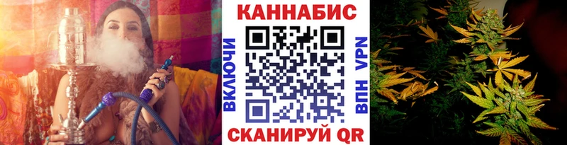 Бошки Шишки сатива Жиздра